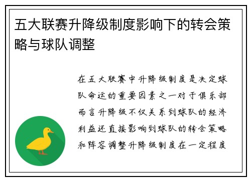五大联赛升降级制度影响下的转会策略与球队调整